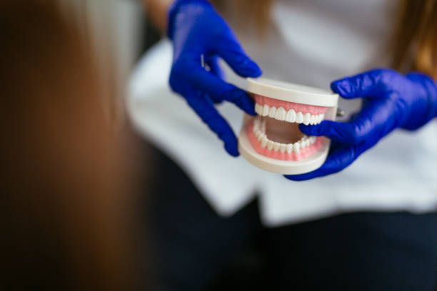 Dental X-Rays and Imaging in Long Lake, IL